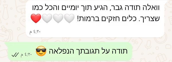 יעקב שטיין